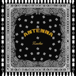 Zuchu - Antenna