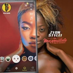 Zyon Stylei - Les Margouillats
