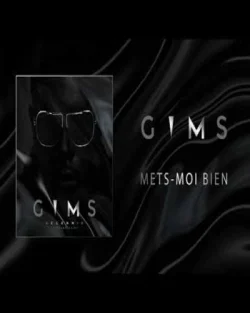 maitre gims - Mets-moi bien