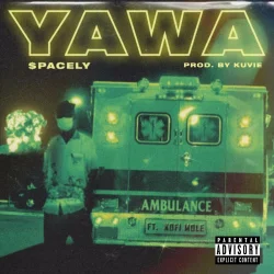 $pacely - Yawa (feat. Kofi Mole)